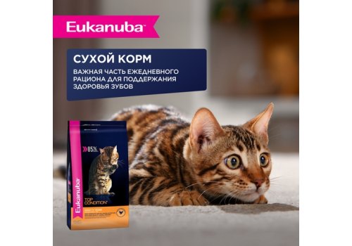 Eukanuba Adult Chicken / Паучи (Влажный корм) Эукануба для взрослых кошек в возрасте от 1 года до 7 лет с Курицей (цена за упаковку)