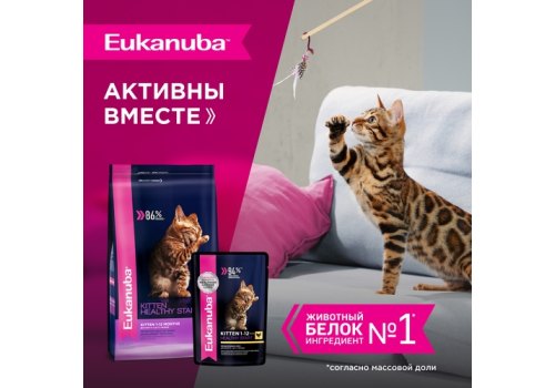 Eukanuba Kitten Chicken / Паучи (Влажный корм) Эукануба для Котят в возрасте до 1 года с Курицей (цена за упаковку)