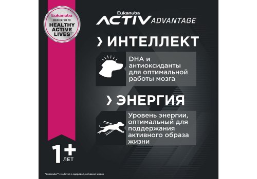 Eukanuba Adult Large Breed / Сухой корм Эукануба для взрослых собак Крупных пород с Курицей