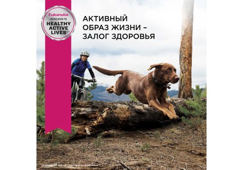 Eukanuba Adult Large Breed / Сухой корм Эукануба для взрослых собак Крупных пород с Курицей