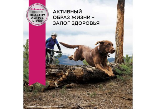 Eukanuba Mature & Senior Large Breed / Сухой корм Эукануба для пожилых собак Крупных пород с Курицей