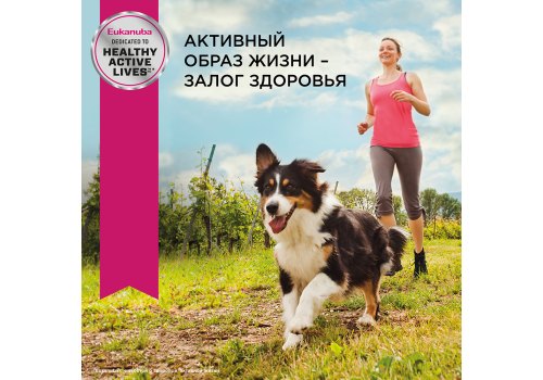Eukanuba Adult Toy Breed / Сухой корм Эукануба для взрослых собак Миниатюрных пород с Курицей