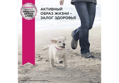 Eukanuba Puppy Toy Breed / Сухой корм Эукануба для Щенков Миниатюрных пород с Курицей