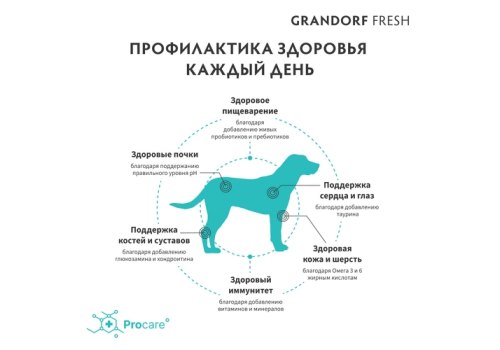 Grandorf Fresh Adult Maxi Salmon&Sweet Potato / Сухой Беззерновой корм Грандорф для взрослых собак Крупных пород Лосось батат