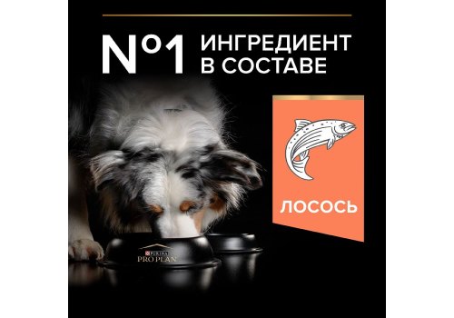 PRO PLAN OPTI DERMA / Сухой корм ПРО ПЛАН для взрослых собак средних пород при чувствительной коже с лососем