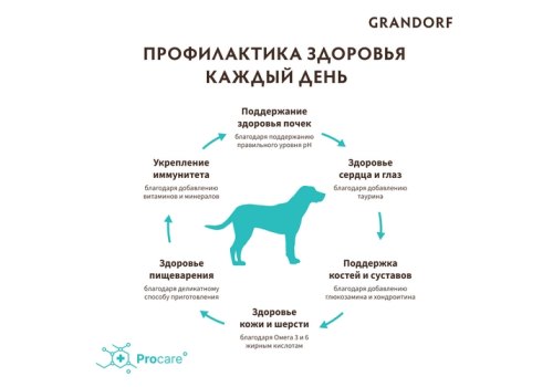 Grandorf Holistic & Hypoallergenic Adult Maxi Turkey / Сухой корм Грандорф Низкозерновой для взрослых собак Крупных пород Индейка