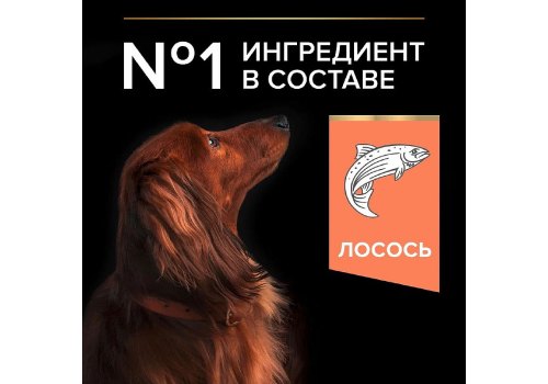 PRO PLAN SENSITIVE SKIN / Сухой корм ПРО ПЛАН для взрослых собак мелких пород при чувствительной коже с лососем, фото 