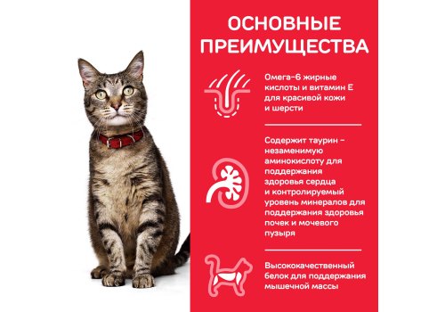 Hills Science Plan Adult Lamb / Сухой корм Хиллс для взрослых кошек Ягненок