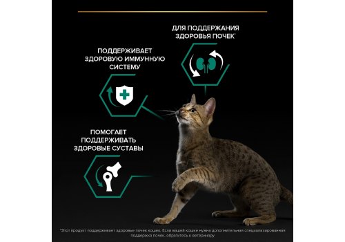 PRO PLAN RENAL PLUS / Сухой корм ПРО ПЛАН для взрослых кошек для поддержания здоровья почек с курицей, фото 