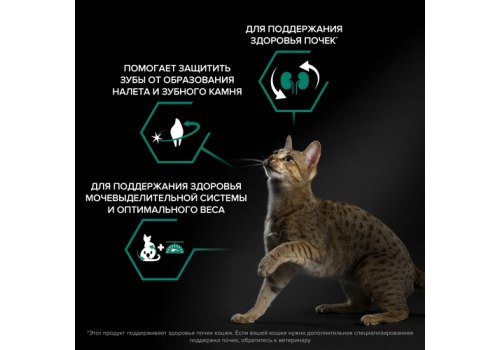 PRO PLAN STERILISED / Сухой корм ПРО ПЛАН для взрослых кошек для поддержания здоровья почек после стерилизации с лососем