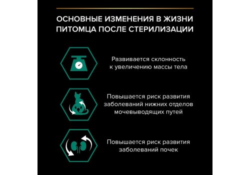 PRO PLAN STERILISED / Сухой корм ПРО ПЛАН для взрослых кошек для поддержания здоровья почек после стерилизации с индейкой