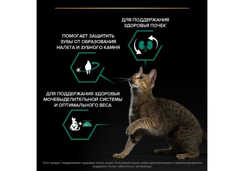 PRO PLAN STERILISED / Сухой корм ПРО ПЛАН для взрослых кошек для поддержания здоровья почек после стерилизации с индейкой