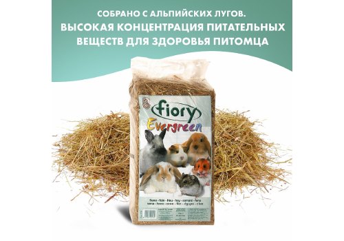 Fiory Evergreen / Сено Фиори для грызунов, фото 