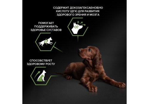 PRO PLAN HEALTHY START / Сухой корм ПРО ПЛАН для щенков крупных пород с атлетическим телосложением с курицей, фото 