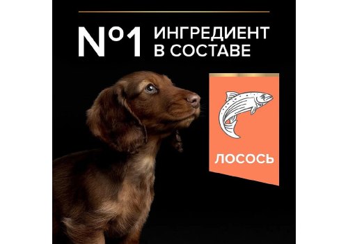 PRO PLAN SENSITIVE SKIN / Сухой корм ПРО ПЛАН для щенков мелких и карликовых пород с Чувствительной кожей с Лососем