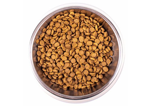 Monge Kitten Chicken / Сухой корм Монж для Котят Курица, фото 