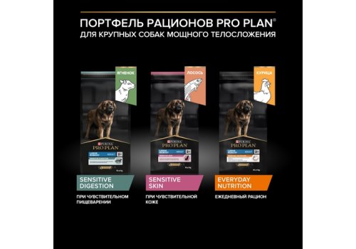 PRO PLAN OPTI DERMA / Сухой корм ПРО ПЛАН для взрослых собак крупных пород с мощным телосложением при чувствительной коже с лососем