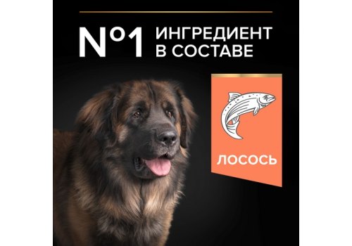 PRO PLAN OPTI DERMA / Сухой корм ПРО ПЛАН для взрослых собак крупных пород с мощным телосложением при чувствительной коже с лососем