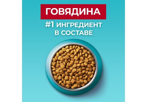 PURINA ONE ADULT / Сухой корм Пурина УАН для взрослых кошек с говядиной