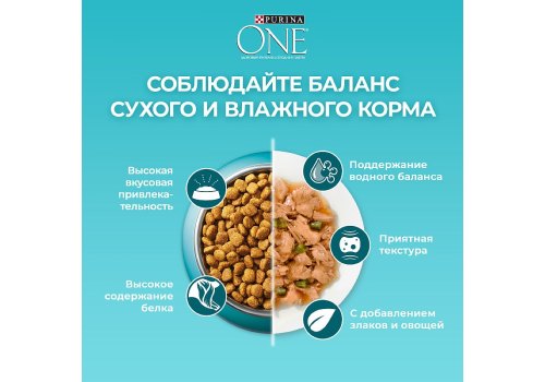PURINA ONE ADULT / Сухой корм Пурина УАН для взрослых кошек с говядиной