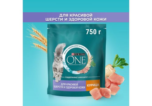 PURINA ONE SENSITIVE / Сухой корм Пурина УАН для взрослых кошек для здоровья кожи и шерсти с курицей