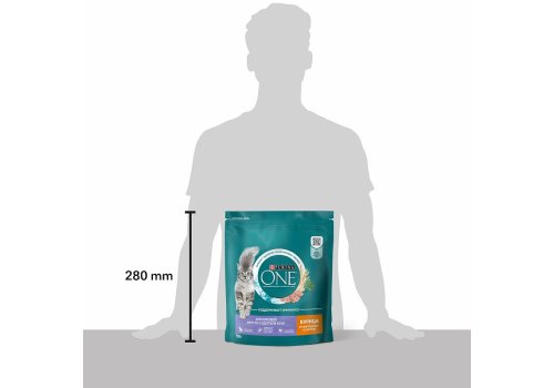 PURINA ONE SENSITIVE / Сухой корм Пурина УАН для взрослых кошек для здоровья кожи и шерсти с курицей