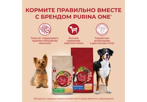 PURINA ONE MINI / Сухой корм Пурина УАН для взрослых собак мелких пород при склоннности к набору веса с индейкой