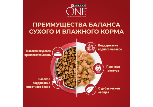 PURINA ONE MINI / Сухой корм Пурина УАН для взрослых собак мелких пород при склоннности к набору веса с индейкой