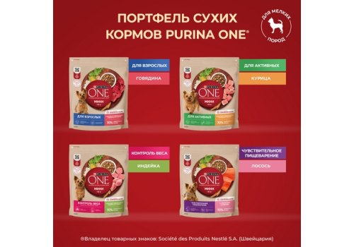 PURINA ONE MINI / Сухой корм Пурина УАН для взрослых собак мелких пород при чувствительном пищеварении с лососем