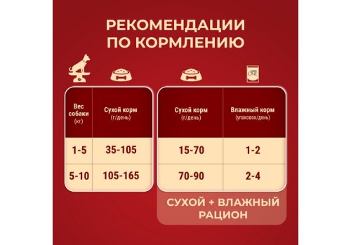 PURINA ONE MINI / Сухой корм Пурина УАН для взрослых собак мелких пород при чувствительном пищеварении с лососем