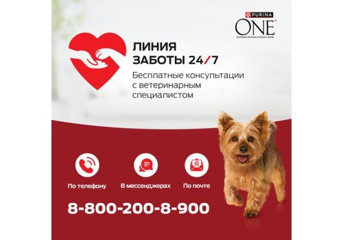 PURINA ONE MINI / Сухой корм Пурина УАН для взрослых собак мелких пород при чувствительном пищеварении с лососем