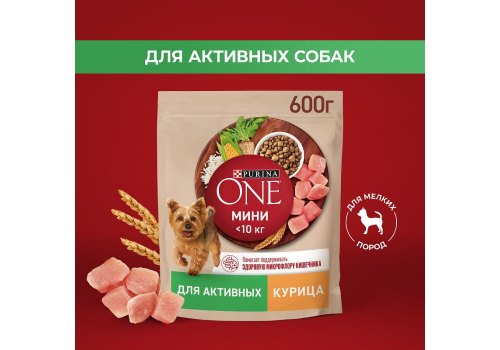 PURINA ONE MINI / Сухой корм Пурина УАН для взрослых собак мелких пород при активном образе жизни с курицей, фото 