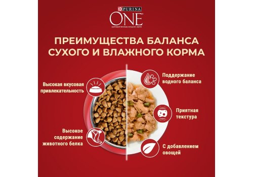 PURINA ONE MINI / Сухой корм Пурина УАН для взрослых собак мелких пород при активном образе жизни с курицей