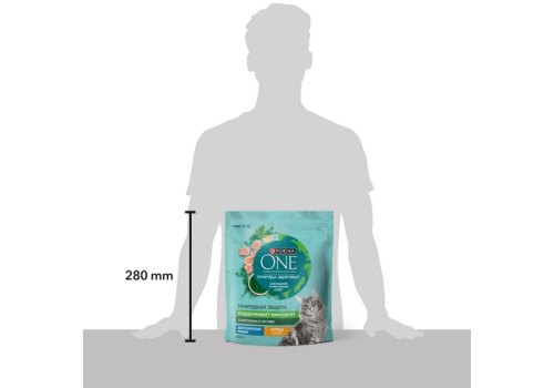 PURINA ONE SUPERFOOD / Сухой корм Пурина УАН для взрослых кошек с курицей