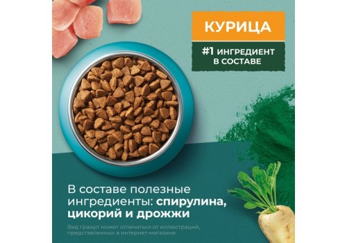 PURINA ONE SUPERFOOD / Сухой корм Пурина УАН для взрослых кошек с курицей