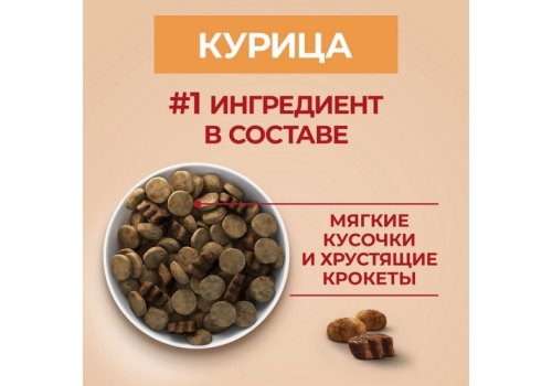 PURINA ONE ADULT / Сухой корм Пурина УАН для взрослых собак средних и крупных пород с курицей