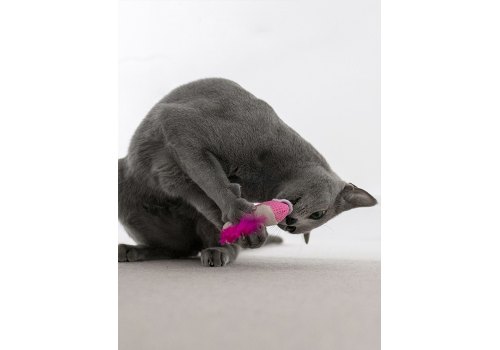 Petstages Dental Shrimpies Mlt / Игрушка Петстейджес для кошек Креветки с кошачьей мятой 2шт