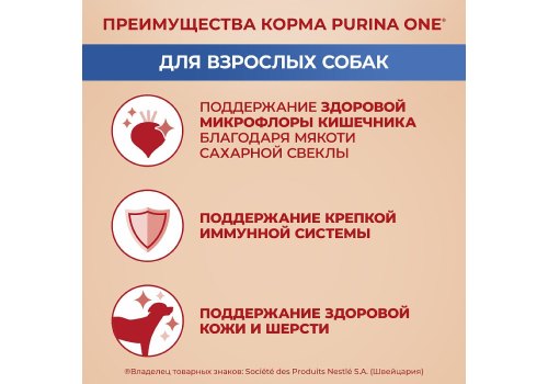 PURINA ONE ADULT / Сухой корм Пурина УАН для взрослых собак средних и крупных пород с говядиной