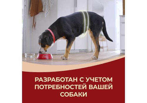 PURINA ONE ADULT / Сухой корм Пурина УАН для взрослых собак средних и крупных пород с говядиной