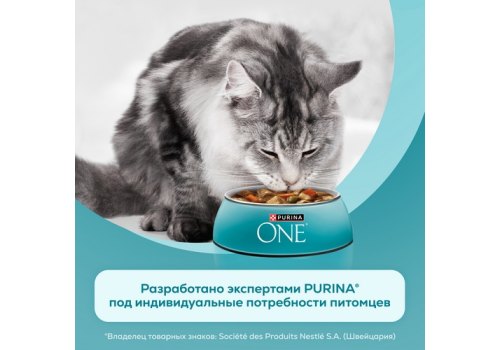 PURINA ONE KITTEN / Влажный корм Паучи Пурина УАН для котят с курицей (цена за упаковку)