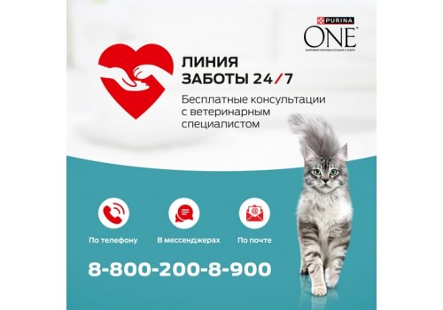 PURINA ONE STERILISED / Влажный корм Паучи Пурина УАН для взрослых стерилизованных кошек с курицей (цена за упаковку)