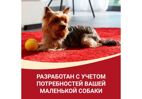 PURINA ONE MINI / Влажный корм Паучи Пурина УАН для взрослых собак мелких пород при активном образе жизни с уткой (цена за упаковку)