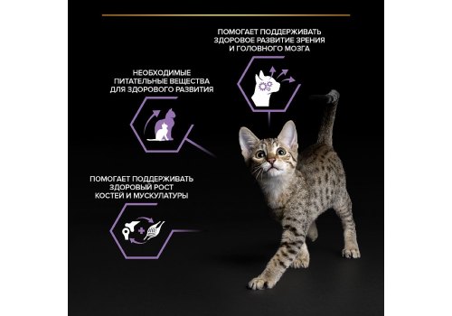 PRO PLAN KITTEN / Влажный корм Паучи ПРО ПЛАН для котят с говядиной в соусе (цена за упаковку)