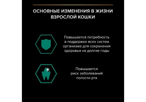 PRO PLAN ADULT / Влажный корм Паучи ПРО ПЛАН для взрослых кошек с индейкой в желе (цена за упаковку)