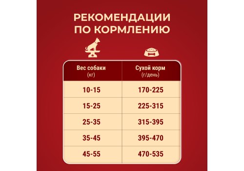 PURINA ONE ADULT / Сухой корм Пурина УАН для взрослых собак средних и крупных пород с ягненком