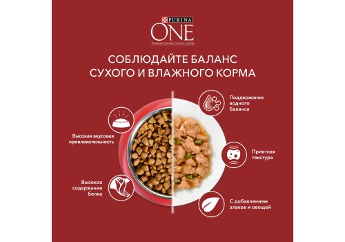 PURINA ONE ADULT / Сухой корм Пурина УАН для взрослых собак средних и крупных пород с ягненком