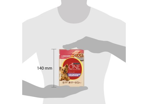 PURINA ONE MINI / Влажный корм Паучи Пурина УАН для взрослых собак мелких пород при чувствительном пищеварении с лососем (цена за упаковку)