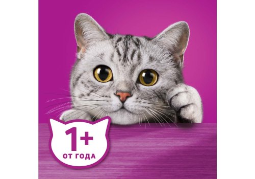 Whiskas / Паучи Вискас для взрослых кошек Говядина Ягненок рагу (цена за упаковку)