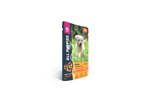 All Puppies / Паучи Ол Паппис для Щенков Тефтельки с Индейкой в соусе (цена за упаковку)