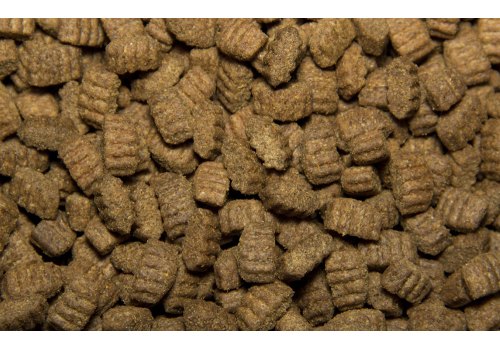 All Dogs / Сухой корм Ол Догс для собак с Говядиной и овощами